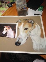 /album/galerie-photos/photo-1172-jpg/